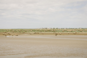 Traversée de la baie