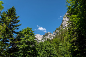 Monastère de la Grande Chartreuse – Randonnée sur le flanc est (printemps)