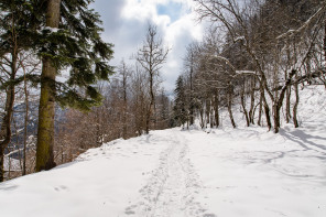 Monastère de la Grande Chartreuse – Randonnée sur le flanc ouest (hiver)