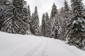 Monastère de la Grande Chartreuse – Randonnée sur le flanc ouest (hiver)