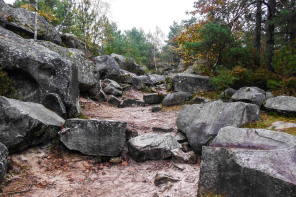 Gorges de Franchard Gorges de Franchard