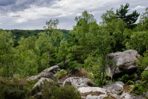 Près des gorges d'Apremont Près des gorges d'Apremont