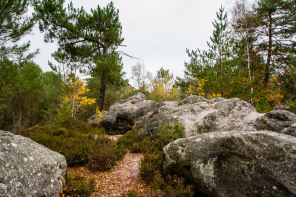Sentier des 25 bosses Sentier des 25 bosses