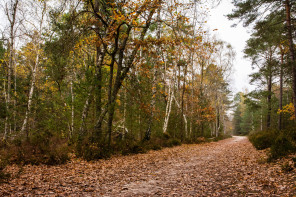 Sentier des 25 bosses Sentier des 25 bosses
