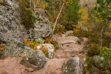 Sentier des 25 bosses Sentier des 25 bosses