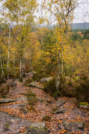 Sentier des 25 bosses Sentier des 25 bosses