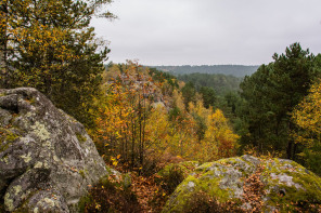 Sentier des 25 bosses Sentier des 25 bosses
