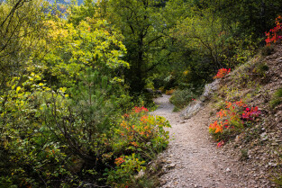 Gorges de Trévans