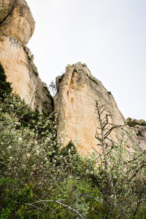 Randonnée sur les corniches du causse Méjean – Côté Tarn Randonnée sur les corniches du causse Méjean – Côté Tarn