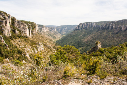 Randonnée sur les corniches du causse Méjean – Côté Jonte Randonnée sur les corniches du causse Méjean – Côté Jonte