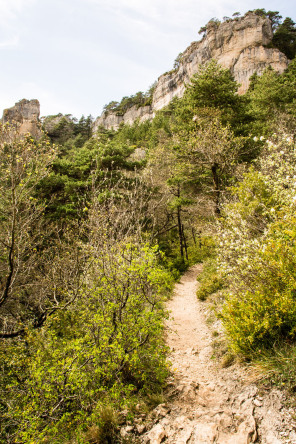 Randonnée sur les corniches du causse Méjean – Côté Jonte Randonnée sur les corniches du causse Méjean – Côté Jonte