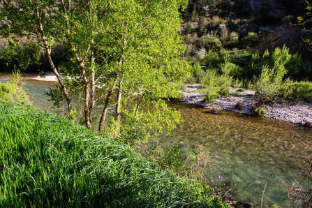 Camping municipal de La Malène Camping municipal de La Malène