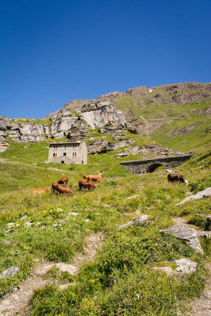 Vallon de la Lenta Vallon de la Lenta