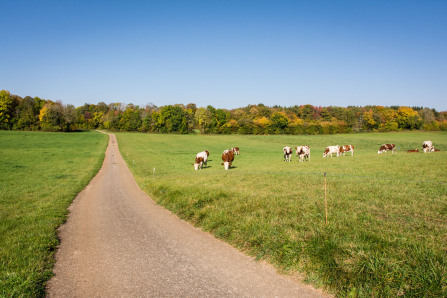 Sur les routes du Haut-Jura... Sur les routes du Haut-Jura...