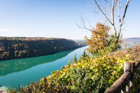 Lac de Chalain vu depuis le belvédère de Fontenu Lac de Chalain vu depuis le belvédère de Fontenu