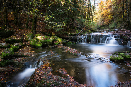 Cascades du Hérisson Cascades du Hérisson