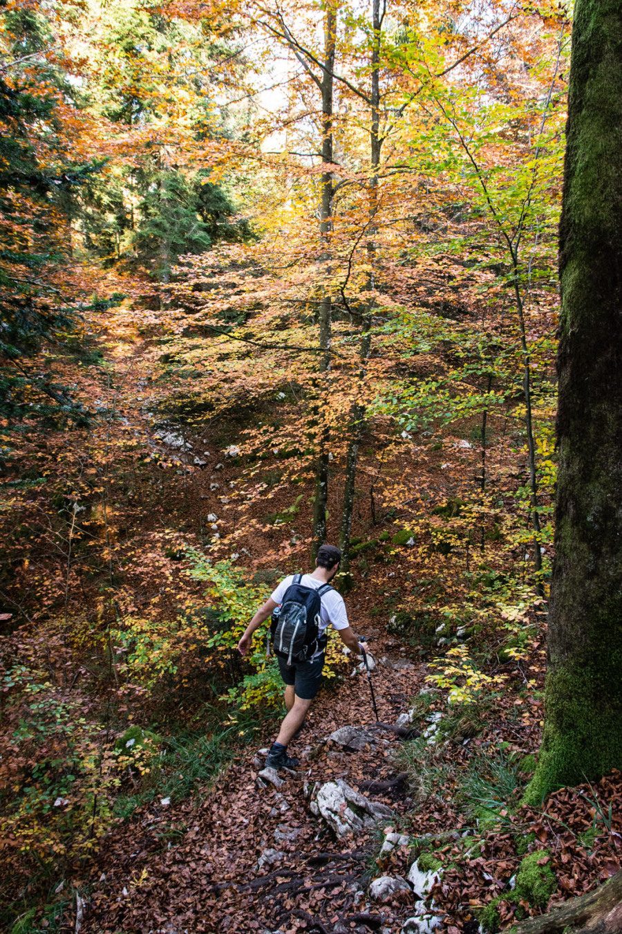Randonnée des 4 lacs – Descente après le bélvédère des 4 lacs Randonnée des 4 lacs – Descente après le bélvédère des 4 lacs