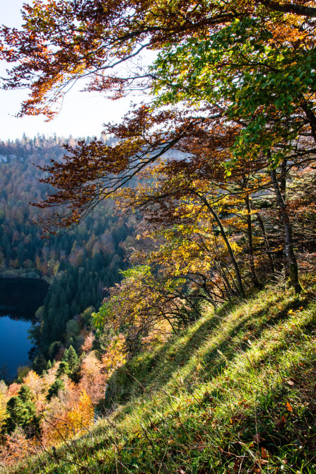 Lac de Bonlieu vu depuis le belvédère de la Ronde Lac de Bonlieu vu depuis le belvédère de la Ronde