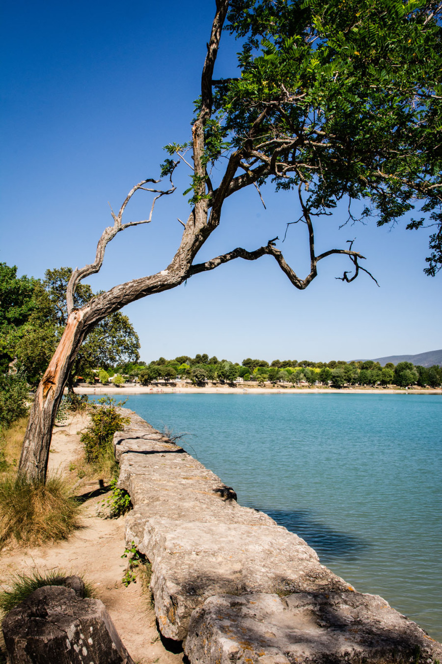 Etang de la Bonde