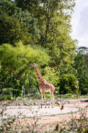 Parc de la Tête d'Or