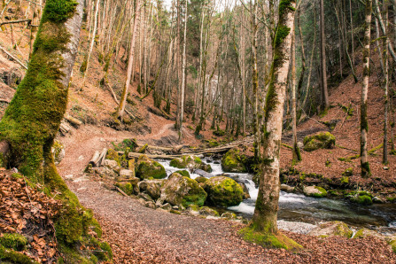 Mont-Saxonnex – Cascade du Dard Mont-Saxonnex – Cascade du Dard