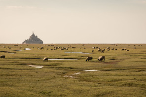 Vue du mont Saint-Michel depuis la D275 Vue du mont Saint-Michel depuis la D275