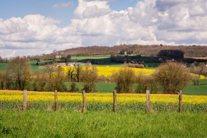 Jardin François Jardin François