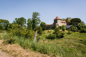 Condrieu – Sentier de l’Arbuel – Château de Rozay Condrieu – Sentier de l’Arbuel – Château de Rozay