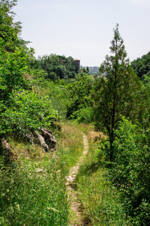Condrieu – Sentier de l’Arbuel Condrieu – Sentier de l’Arbuel