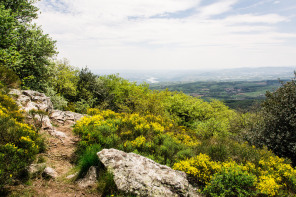 Randonnée du col de Pavezin au mont Monnet – Mont Monnet Randonnée du col de Pavezin au mont Monnet – Mont Monnet