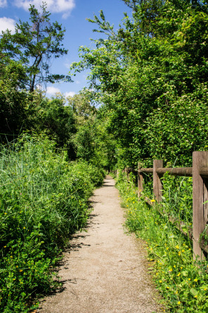 Condrieu – Ile du Beurre Condrieu – Ile du Beurre