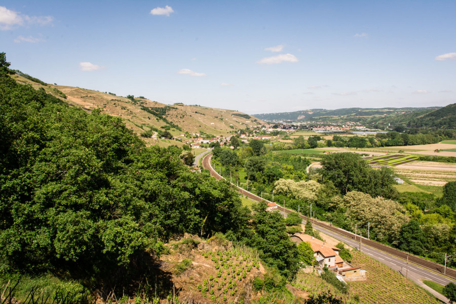 Condrieu – Sentier des Lônes en terrasses Condrieu – Sentier des Lônes en terrasses