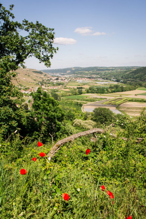 Condrieu – Sentier des Lônes en terrasses Condrieu – Sentier des Lônes en terrasses