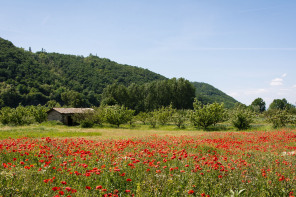 ViaRhôna vers Ampuis ViaRhôna vers Ampuis