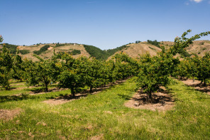 ViaRhôna vers Ampuis ViaRhôna vers Ampuis