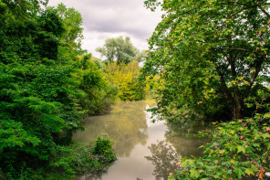 Condrieu – Ile du Beurre Condrieu – Ile du Beurre