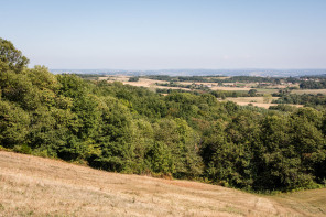 Ampuis – Sentier dans les vignes n° 2 Ampuis – Sentier dans les vignes n° 2