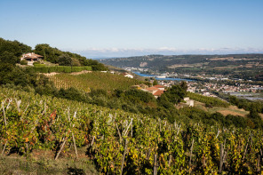 Sur les hauteurs de Tupin-et-Semons Sur les hauteurs de Tupin-et-Semons