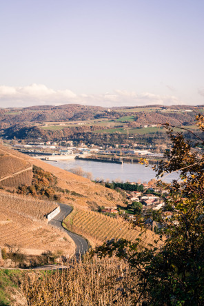 Sur les hauteurs d'Ampuis Sur les hauteurs d'Ampuis
