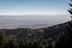 Près du crêt de l'Œillon Près du crêt de l'Œillon