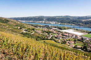 Ampuis – Sur les hauteurs de Vérenay Ampuis – Sur les hauteurs de Vérenay