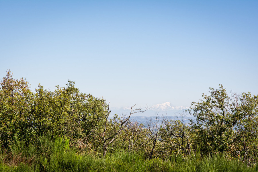 Le mont Blanc vu des hauteurs du Pilat, probablement entre Ampuis et Loire-sur-Rhône Le mont Blanc vu des hauteurs du Pilat, probablement entre Ampuis et Loire-sur-Rhône