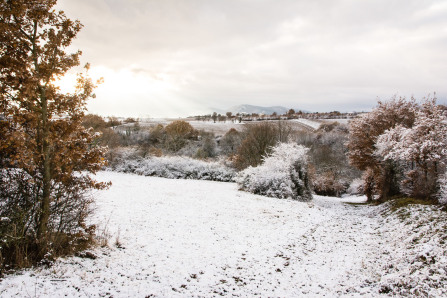 Sur les hauteurs d'Ampuis en hiver Sur les hauteurs d'Ampuis en hiver