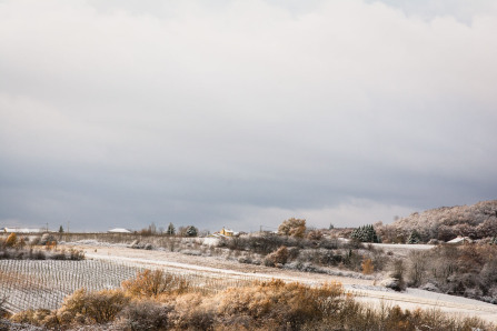 Sur les hauteurs d'Ampuis en hiver Sur les hauteurs d'Ampuis en hiver