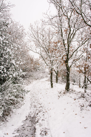 Montée vers le mont Monnet en hiver Montée vers le mont Monnet en hiver