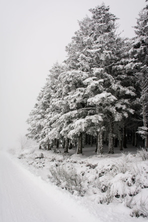 Col de l'Œillon en hiver Col de l'Œillon en hiver