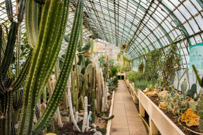Jardin des serres d'Auteuil