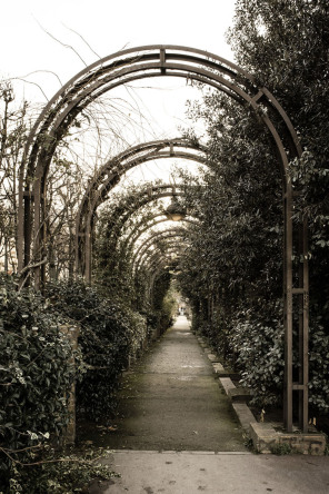 Jardin du port de l'Arsenal