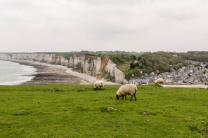 Vue d'Yport depuis les falaises à l'ouest Vue d'Yport depuis les falaises à l'ouest