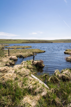 Randonnée des lacs – Lac de Born Randonnée des lacs – Lac de Born
